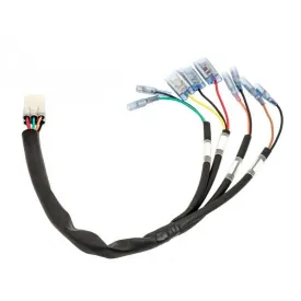 Adaptateur de faisceau de câblage Version MULTI - Triumph LC | Motone Customs