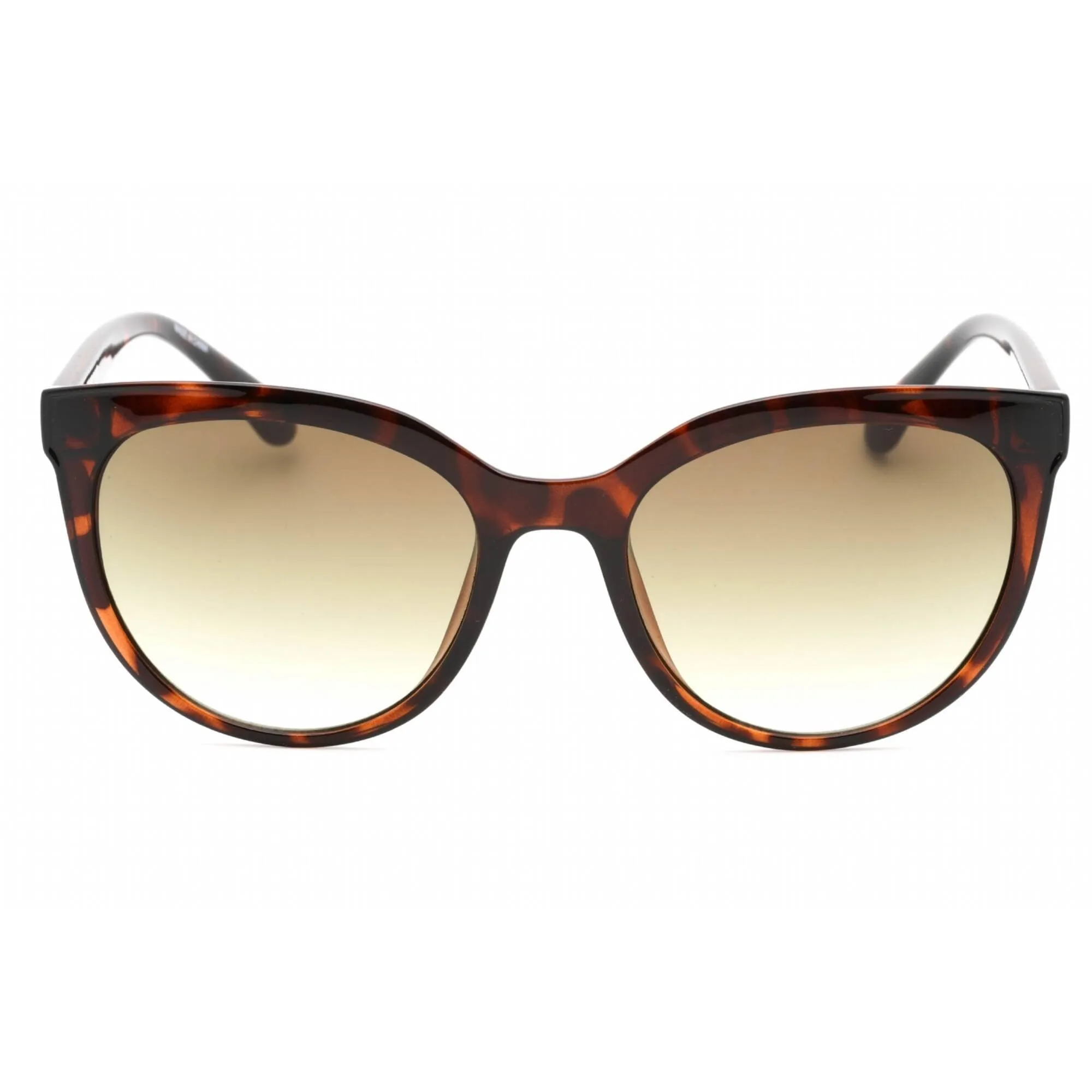 Calvin Klein Retail Women's Sunglasses - Shiny Havana Full Rim Frame | CK22552S 240