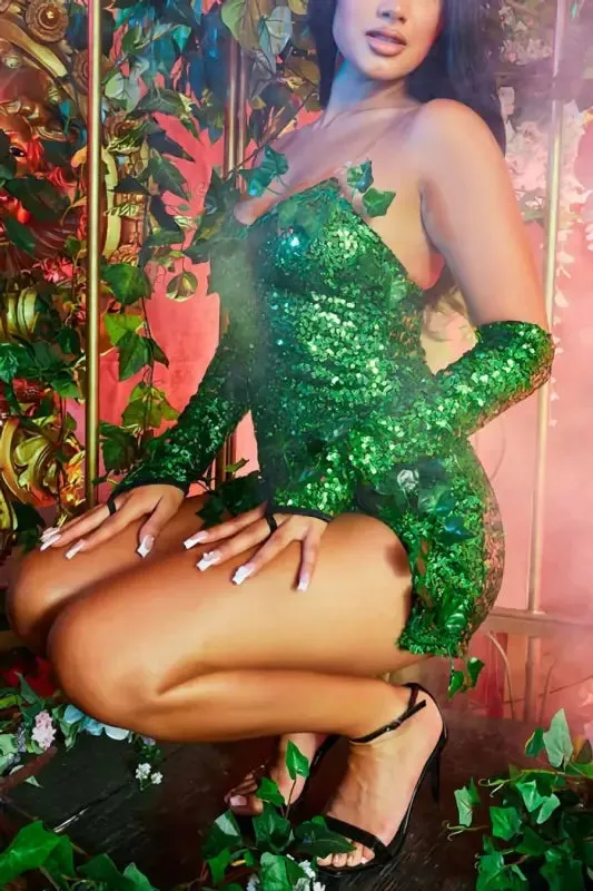 Fruitful Vine Sequin Mini Dress/Gloves Included