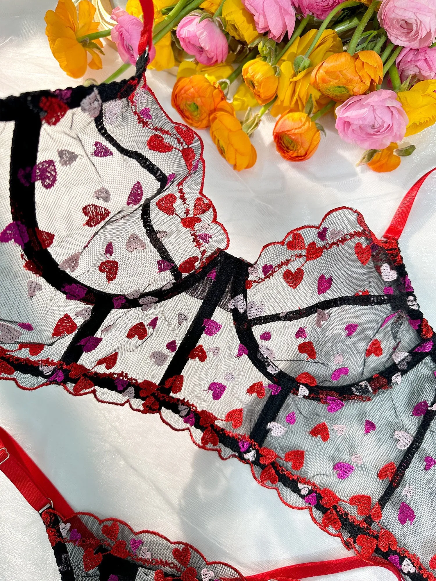 Sweetheart Delights Sheer Embroidered Lingerie Set