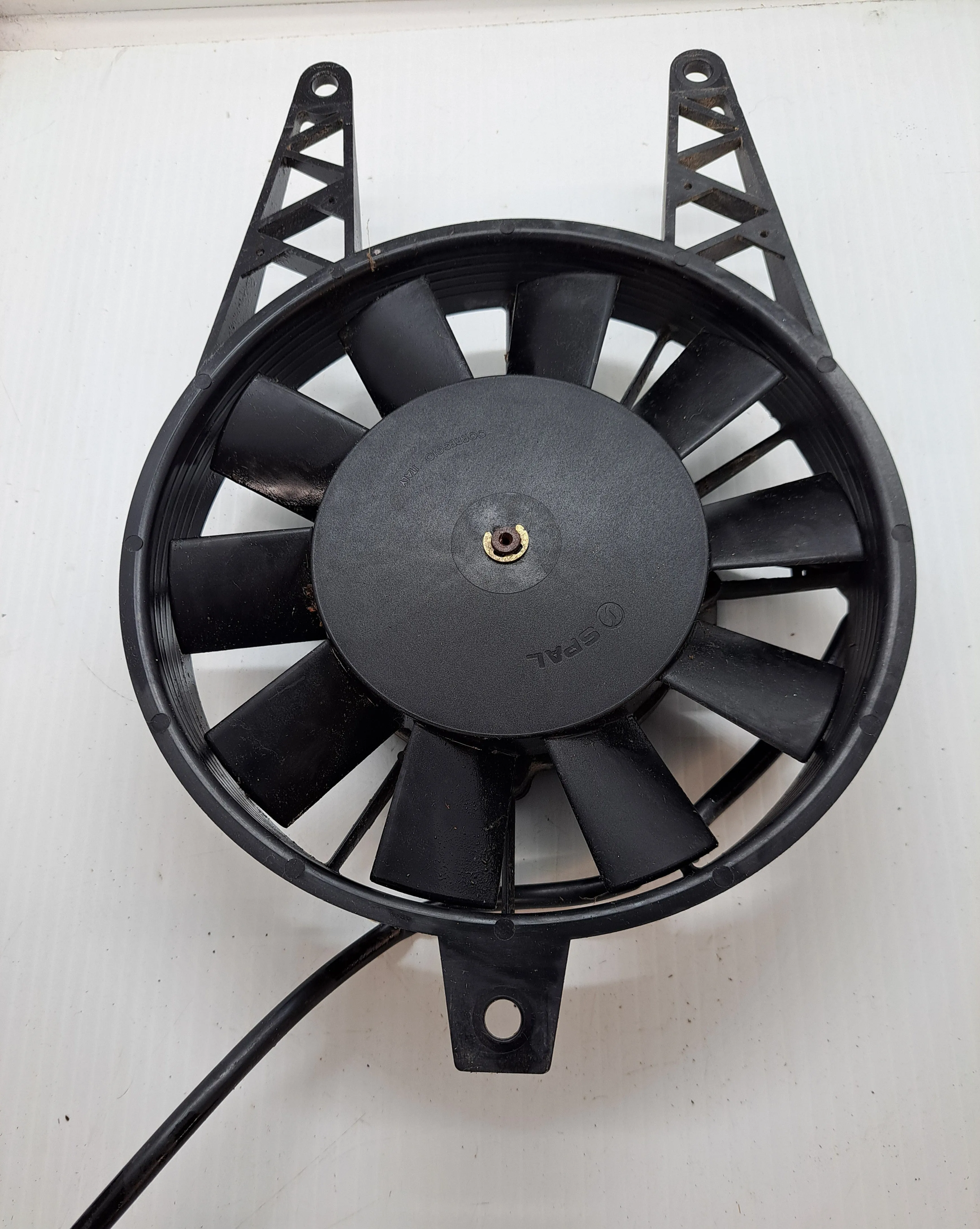 Triumph TT600 Rad Fan