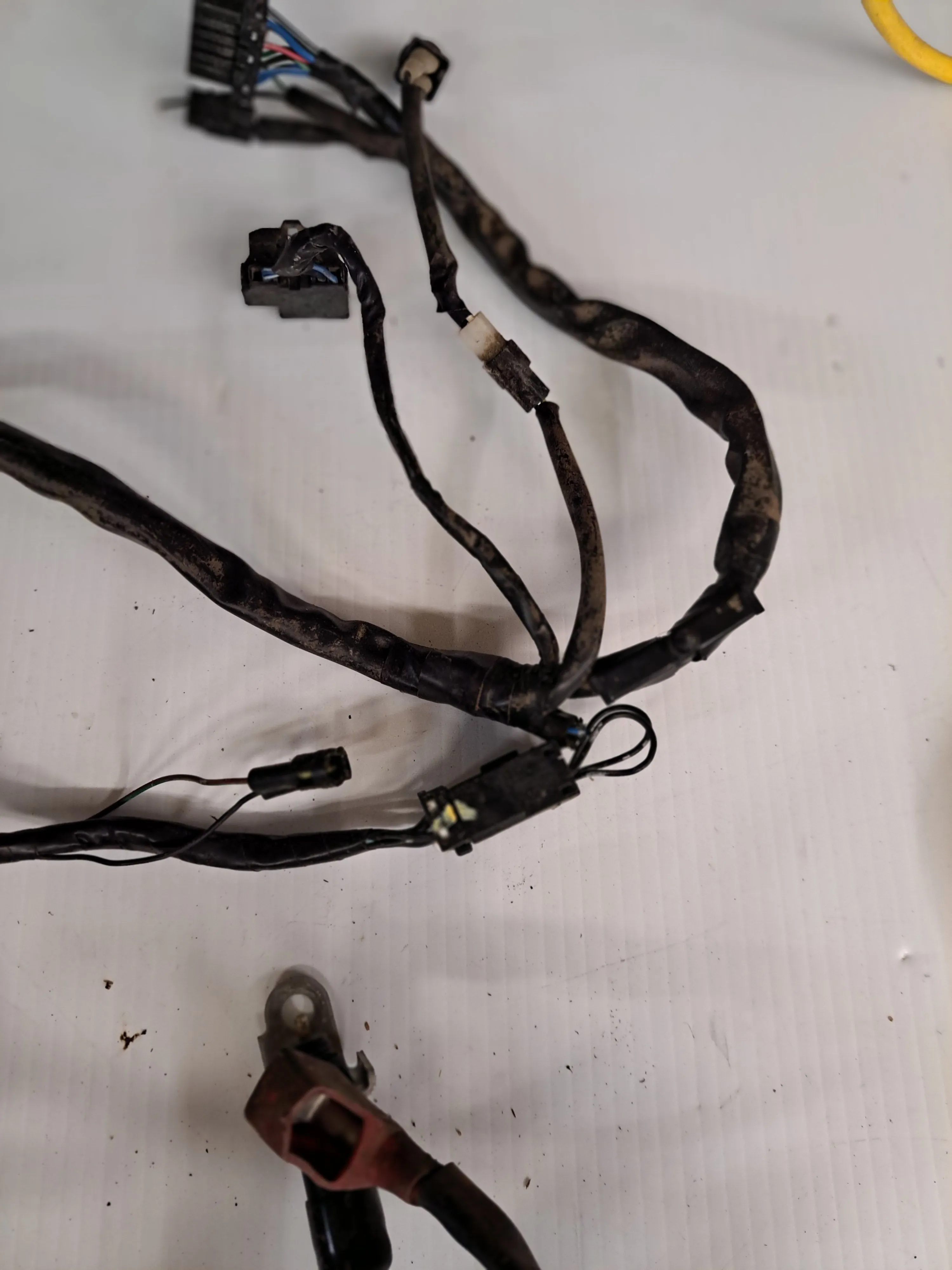 Triumph TT600 Wiring Harnesses