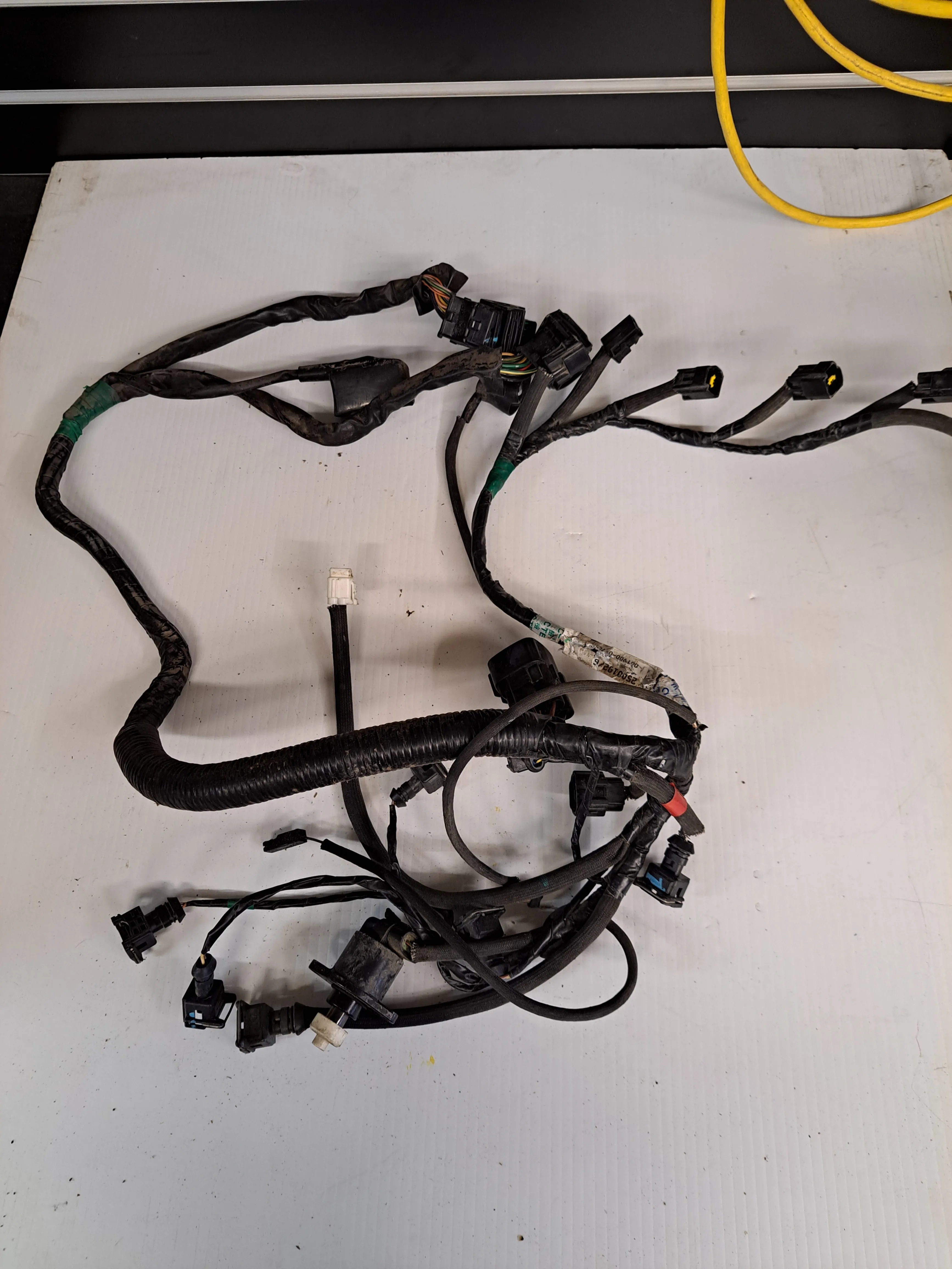 Triumph TT600 Wiring Harnesses