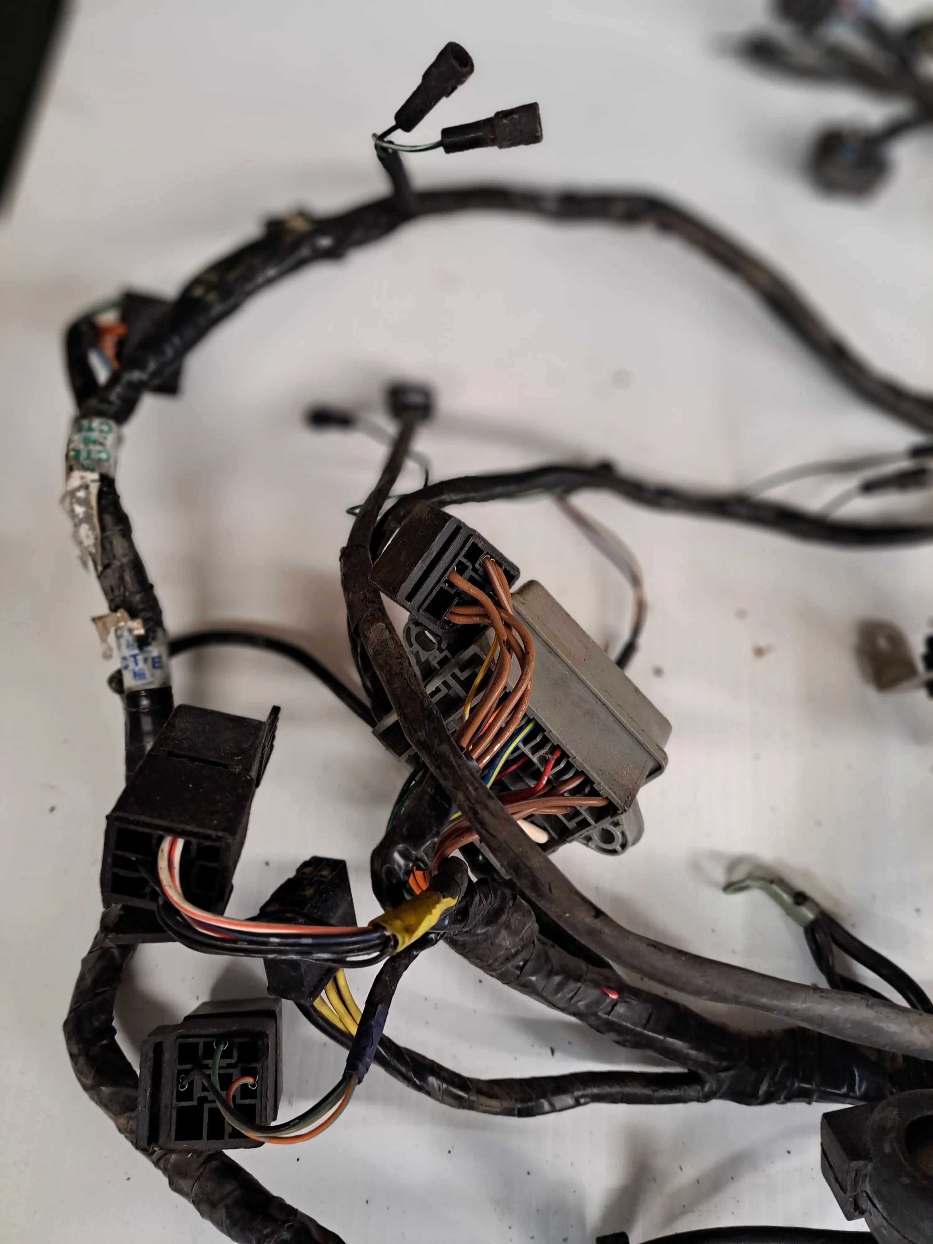 Triumph TT600 Wiring Harnesses