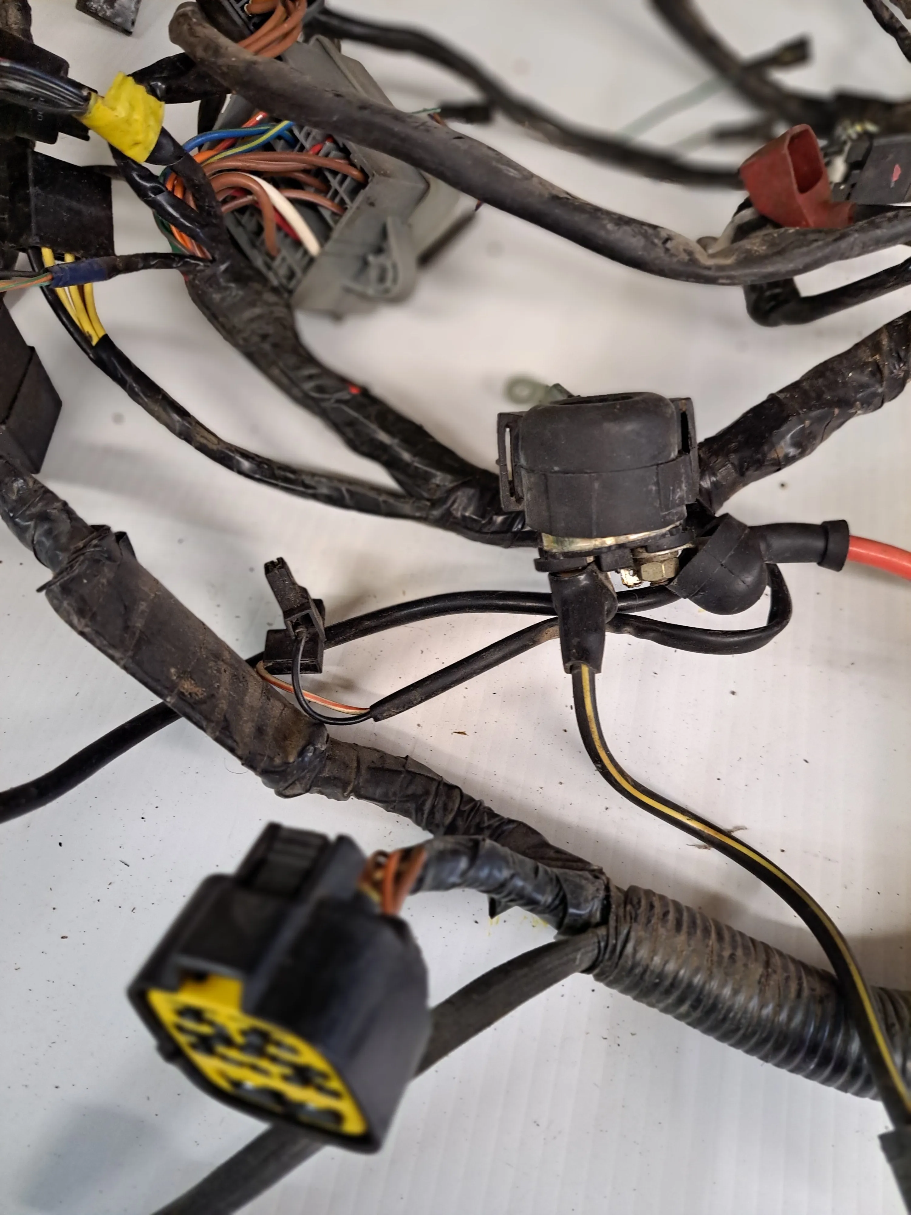 Triumph TT600 Wiring Harnesses