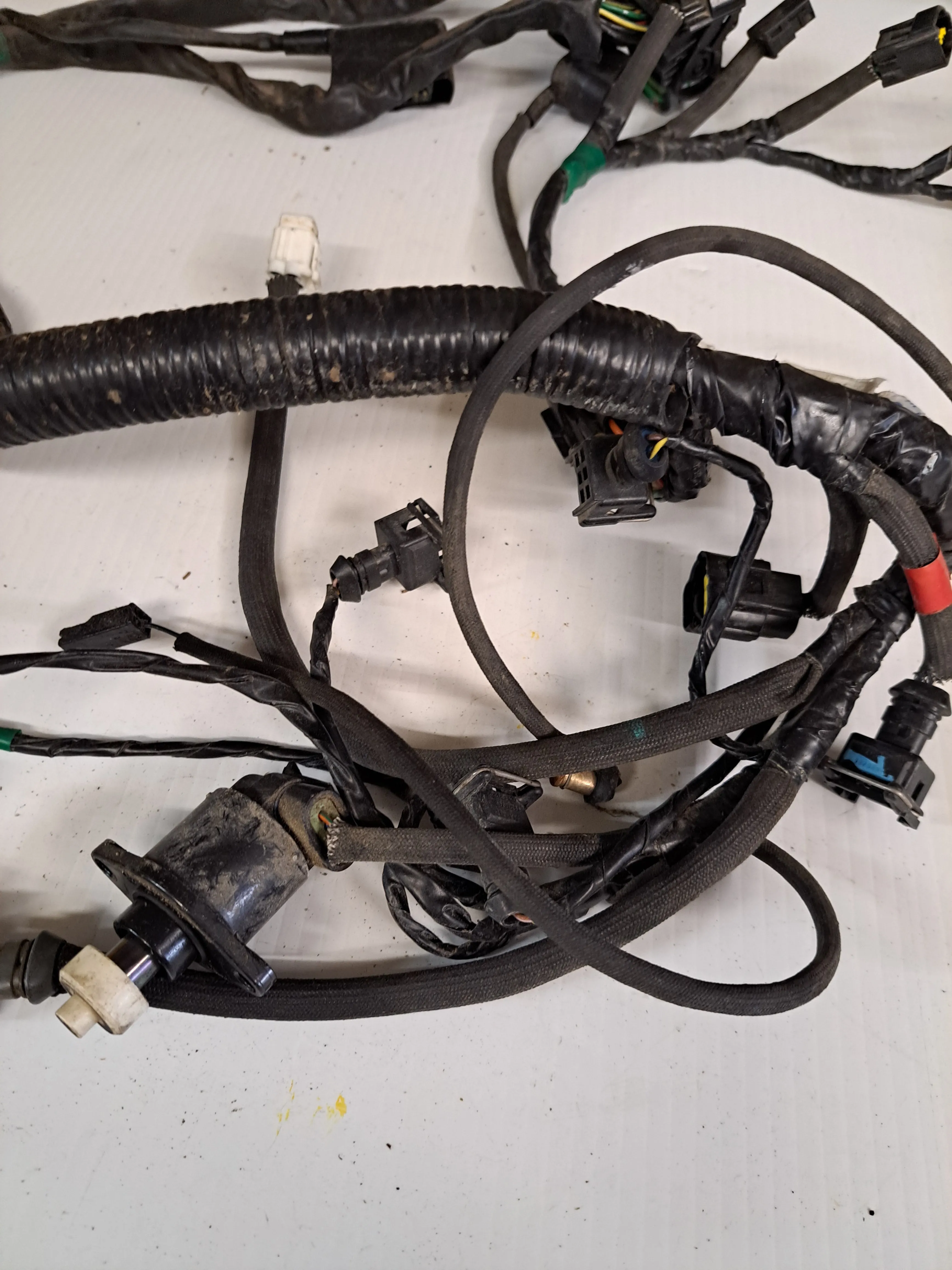 Triumph TT600 Wiring Harnesses