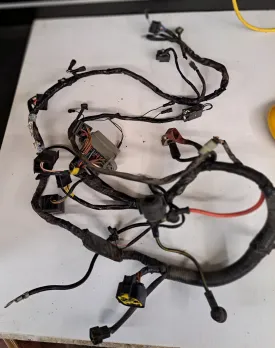 Triumph TT600 Wiring Harnesses